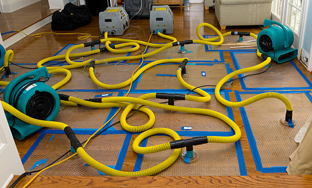 Professional Basement Flood Cleanup technician working in Brewster, MN